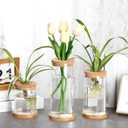 Maxcheck 3 Pcs 3 Sizes Plant Propagation Station Separated Glass Plant Terrarium Water Hydroponic Planter Holder with Lid and Wooden Stand Propagation Vase Pot for Home Indoor Office(Various Sizes)