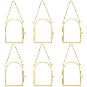 Caeuiciw 6 Pcs Pressed Flowers Glass Frames 3.5 x 2.5 Inch Brass Hanging Photo Frame with Chain Arched Double Floating Picture Frames for Artwork Display DIY Dried Plant Specimen