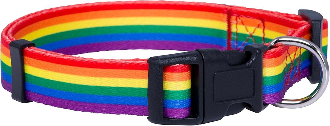 Native Pup Rainbow Flag Dog Collar Gay Pride Stuff for Parade, LGBTQ Flags Equality Pet Apparel Decor Gift and LGBT Ally Accessories (Small)