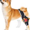 Dog Knee Brace for Acl Injury Recovery, Adjustable, Provides Stable Support for Ligament Strain and Joint Pain, Fits Front or Rear Leg, Ideal for Rehab and Everyday Use, Durable, Comfortable, M (Blck)