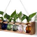 Plant Terrarium Propagation Stations Halloween Skull Planter Vase Skulls Decor with Wooden Stand Gife for Father - 3 Vases