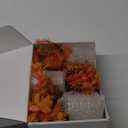 Der Rose 3 Pack Fall Mini Potted Fake Plants Artificial Plastic Eucalyptus Plants Topiaries Fall Decorations for Home Office Desk Farmhouse Room Bathroom Fall Decor (Orange)