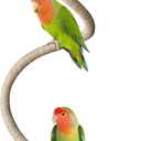 Suction Cup Rope Bird Perch - Bendable Parrot Standing Toy for Climbing & Grinding, Engagement Toys for Window, Bath, Car, Travel, Birdcage Accessories for Small & Medium Bird