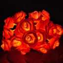 Everlasting Splashes LED Rose Flower Fairy String Lights Battery Operated Warm Flashing Light Romantic Proposal Wedding Birthday Christmas Thanksgiving DIY Indoor Outdoor Decorations (Red&Soft White)