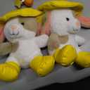 2 x Dog in a hat plush toy