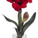 Nearly Natural Amaryllis with Round Vase