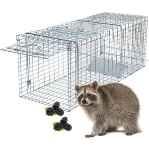 Heavy-Duty Live Animal Trap Cage, 37" X 13" X 14.5", Large Foldable Humane Live Animal Trap. Great for Catch and Release of Raccoons, Stray Cats, Squirrels, Rabbits, Skunks, Woodchucks