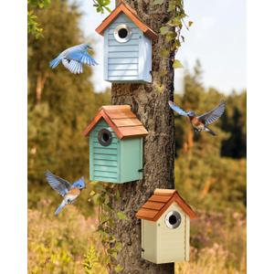 Bluebird Bird Houses for Outside Clearance - Set of 3 Nest Box with Stainless Steel Predator Guard - Alaskan Red Cedar Shingles Roof - UV Painting - 10 Years Outdoor(Beach Hut Houses)