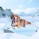 Chicute Cooling Blanket for Dogs - Q-MAX>0.4 Waterproof Pet Throw Blanket Bed Cover, Non-Slip Dog Blankets for Couch Protector, Washable Furniture Cover for Summer, Pearl Blue,30x40 In