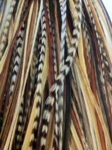 Feather Hair Extension  Natural Dark Brown and Beige, Five Genuine Feathers Bonded Together, Ranging from 4 to 7 Inches, One Extension