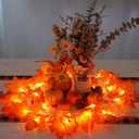 YEGUO 4 Packs Thanksgiving Decorations for Home, Fall Lights Battery Operated, Total 40ft 80 LED Lighted Fall Garland Maple Leaves for Thanksgiving Decor