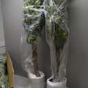 HAIHONG 2Packs 6FT Artificial Ficus Tree,Fake Plants with Sturdy Plastic Nursery Pot,Faux Ficus Trees for Home Office Living Room Farmhouse Indoor Outdoor Decor Perfect Housewarming Gift (6FT-2Packs)