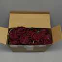 Jexine 50 Pcs Artificial Rose Flower Bulk Realistic Silk Fake Roses with Long Stem Plastic Artificial Flower Bouquet Real Looking for Home Wedding Centerpieces Party Decoration(Burgundy)