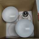 3 Pack 100-Watt Basking Light for Reptile - Heat Lamp Bulbs for Reptiles & Amphibians Broad Spectrum Reptile Light for Glass Terrariums Suitable for Bearded Dragons Light Lizards Iguanas basking Bulb