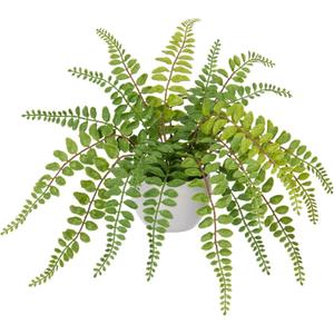 Hollyone Artificial Fern Potted Plant for Outdoors Indoors - Lifelike Faux Boston Fern in White Pot for Garden, Patio, Home, Farmhouse, Windowsill, Office, Living Room, Desk Decoration (Green 1)