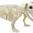 LUKBERA Halloween Dog Skeleton Decorations, Animal Bones Skeletons with Posable Joints for Haunted Houses, Graveyard Scenes, Halloween Party Decor