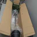 7ft Faux Olive Tree - Fake Potted Olive Silk Tree with Planter Natural Olive Branches and Realistic Leaves Artificial Tree for Home House Office Decor Indoor