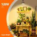 Bstrip Hanging Grow Light for Indoor Plant, 25W Full Spectrum Hanging Plant Light, 3000K LED Grow Light Bulbs with 16.4FT Power Cord, 1 Pack