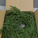 2 Pcs Christmas Garland with Lights 6 Ft, Real Touch Norfolk Pine Garland for Mantle, Christmas Decorations Indoor Outdoor for Wall Fireplace, Faux Greenery Cedar Garland Realistic for Table Decor