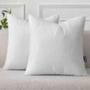 MIULEE Set of 2 Throw Pillow Inserts 20x20 Inches, Nowoven Decorative Pillow Inserts for Living Room
