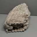 Bedsure GentleSoft Beige Throw Blanket for Couch - Cozy Soft Blankets for Women, Cute Small Fleece Throws for Girls, Linen, 50x60 Inches