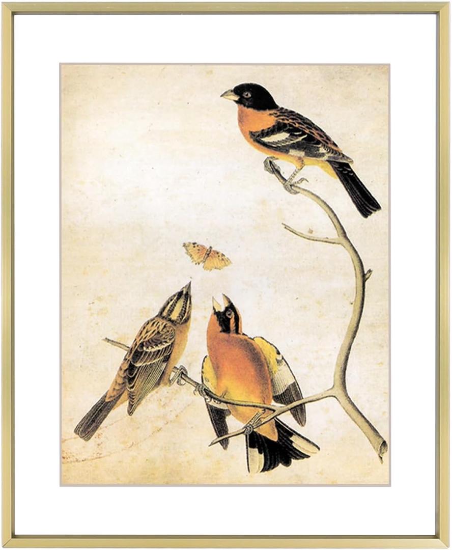 10x12 Picture Frame, Brass Aluminum Metal Photo Frames with HD Glass, Fits 8x10 with Mat or 10 x 12 without Mat, Display for Wall, 1 Pack