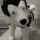 Melissa & Doug Giant Siberian Husky - Lifelike Stuffed Animal Dog (Over 2 feet Tall)