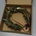 MOSTORY Green Greek Laurel Crown - Woodland Goddess Greek Hairband for Toga Costume Adult, Greenery Roman Leaf Crown for LARP Renaissance Royal Cosplay Photo Shoot