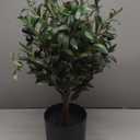 25.5 Tall Artificial Topiary Ball Olive Tree with Leaves and Fruits, Olive Boxwood Topiary Ball Potted Bushes UV Resistant Potted Plants for Garden Indoor Outdoor Home Decor (2ft)