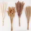 Dried Pampas Grass Decor, 100 Stems Pampas Grass Contains Bunny Tails Dried Flowers, Reed Grass Bouquet for Wedding Boho Flowers Home Table Decor, Rustic Farmhouse Party (17", White and Brown)