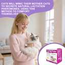 Cat Calming Collar, 15-Inch Adjustable, 60-Day Stress Relief, Purple, 4-Pack