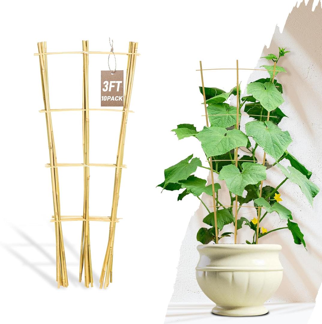 Avalution 10 Pack Bamboo Trellis for Climbing Plants, 3 FT Garden Ladder Trellis for Potted Plants Indoor, Fan-Shaped Small Plant Support Trellis for Houseplants Ivy Hoya Vine Monstera