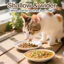 Cat Food Bowl Set of 6, Ceramic Cat Bowls, Anti Whisker Fatigue Cats Bowl Set,5.9 Inches Shallow Wide Kitten Plates for Wet/Dry Food, Indoor Pets (Paw)