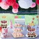 Mwellewm 10Pcs Cupcake Stand,Dessert Table Display Set, 4 White 3 Tired Cake Stand 6 Plastic Serving Trays for Party Cookie Rack Desert Tower Holder for Wedding Decor Baby Shower Tea Party Decorations