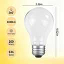 100 Watt Incandescent Light Bulbs, E26 A19 100W Stepless Dimming Light Bulbs 1020lm, 3000K Soft Warm White, Vintage Clear Glass Incandescent Filament Bulb for Home (6pack)