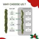 Giauma 6ft Double Fullness Christmas Cedar Garland Artificial Realistic Thick Soft Green Faux Winter Greenery Pine Garlands for Fireplace Mantel Table Doorframe Indoor Outdoor Xmas Holiday Decoration