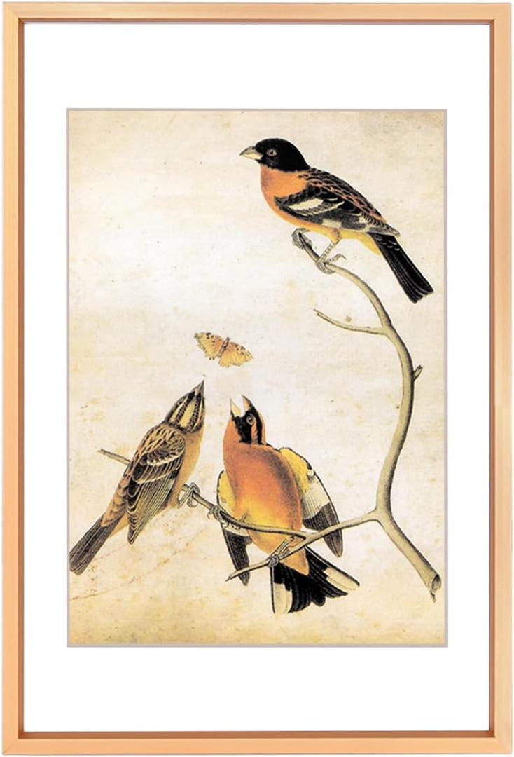 6x9 Picture Frame, Gold Aluminum Metal Photo Frames with HD Glass, Fits 5x7 with Mat or 6 x 9 without Mat, Display for Wall and Table