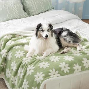 Lesure Waterproof Dog Blanket for Large Dogs - Washable Double Sided Dog Blankets with Warm Jacquard Shag and Soft Sherpa Fleece, Pet Cat Blanket for Bed Couch Protection, 3D Textured Cloud, Green (XL(50x60"), Flower Garden Green)