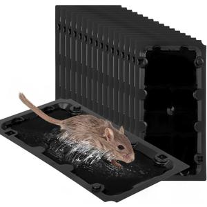 16 Pack Sticky Mouse Trap Rat Traps Indoor, Peanut Taste Pheromone Mouse Traps Indoor for Home, Glue Sticky Traps for Mice and Rats, Snake(Large Size)