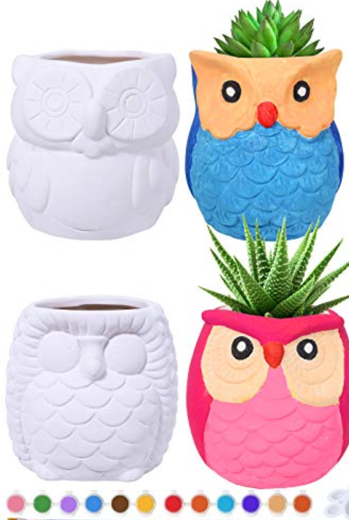Winlyn 4 Sets DIY Ceramic Owl Succulent Pots Paint Craft Kit, Unpainted Ceramic Bisque Owl Flowerpots with Drainage Hole, Ready to Paint for Kids Classroom Craft Project Activity
