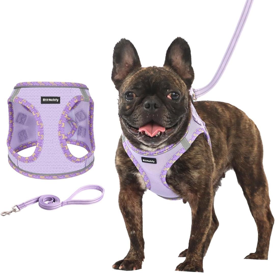 Rttochfy Small Dog Harness, Soft and Reflective Puppy Harness, Dog Harness and Leash Set for Small Size Dogs Training, Walking (Purple S) (S (Chest:14"-15.5"))