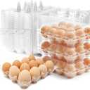 100 Pack 3x4 Plastic Egg Cartons Bulk 12 Count Clear, Reusable Stackable Dozen Chicken Eggs Containers Holders for Storage, Family, Farm Markets and Commercial Display