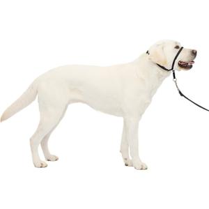 PetSafe Gentle Leader No-Pull Head Collar for Dogs, Dog Head Collar - The Ultimate Solution to Pulling, Padded Nose Loop, Quick-Snap Neck Strap, Dog Halter, Large - Black