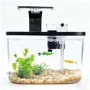 1.7 Gallon Aquarium Starter Kit with LED Light & Quiet Filter, Complete Small Fish Tank for Betta, Mini Desktop Acrylic Tank, Ideal for Shrimp Guppy Jellyfish Goldfish, Office, Home, or Gift