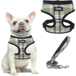 PUPTECK Soft Mesh Dog Harness and Leash Set Pet Puppy Cat Comfort Padded Vest No Pull Harnesses, Green/Yellow, M (NECK: 14", CHEST: 17"-21"))