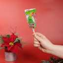 Needzo Sour Christmas Gummy Pops, Individually Wrapped Candy Skewers, Stocking Stuffer Gifts (Pack of 6) (EXP 06/09/26)
