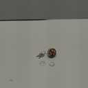 BlueStars 925-0267 STD365402 Ignition Switch 3 Position 5 Terminals - Compatible with MTD Craftsman John Deere Toro Snapper Scag Craftsman Riding Lawn Mowers - Replaces 24688 24695 925-0267A 725-0267