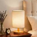 2 Pack Table Lamp, Bedside Lamp Nightstand Lamp, 3000K Warm Light Desk Lamp, USB Powered LED Reading Lamp, Boho Vintage Small Lamp for Bedroom Living Room Office Dorm Dresser Bookshelf