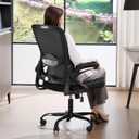 Ergonomic Office Chair,Mesh Office Chair with Lumbar Support,Mid Back Desk Chair with Flip-up Arms,400 lbs Comfy Computer Chair for Home Office, Standard