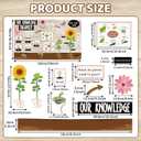 2 x Summer Classroom Bulletin Board Decoration Back to School Bulletin Board Set Frog Butterfly Life Cycle Science Posters Sunflower Plant Growth Process Cutouts for Classroom Wall Teacher Supplies, 59.1 inches x 35.4 inches
